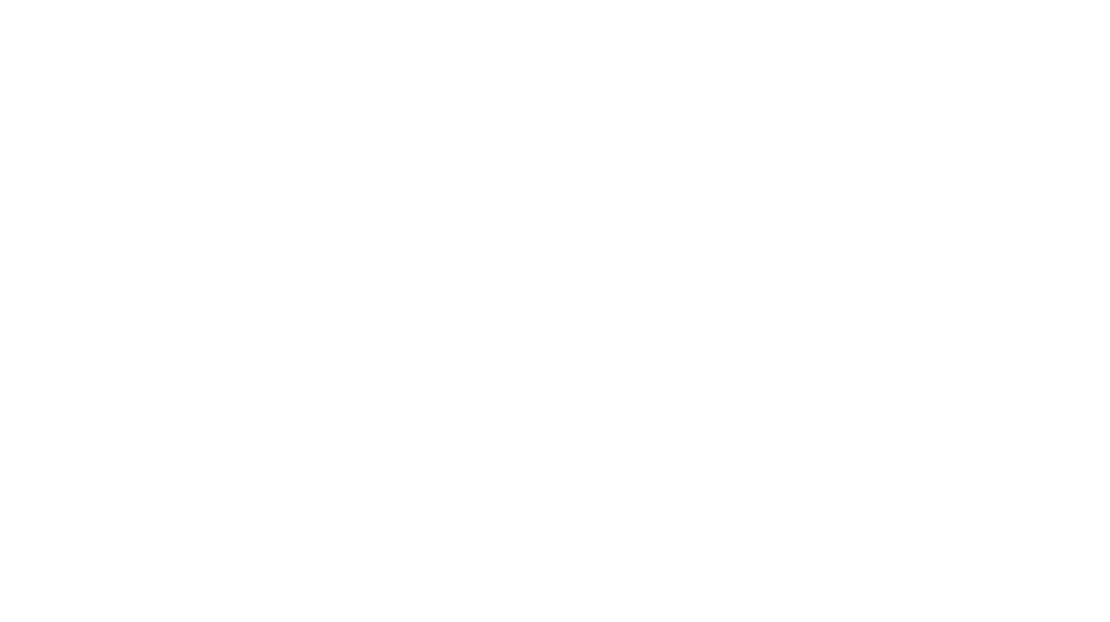 Logo Elecciones del Directorio 2025